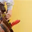Handyman repair service in Colorado Springs, CO for home fixes and improvements