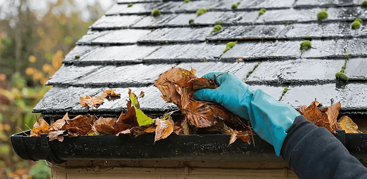 Gutter cleaning technician clearing wet leaves from roof gutters in Colorado Springs, CO